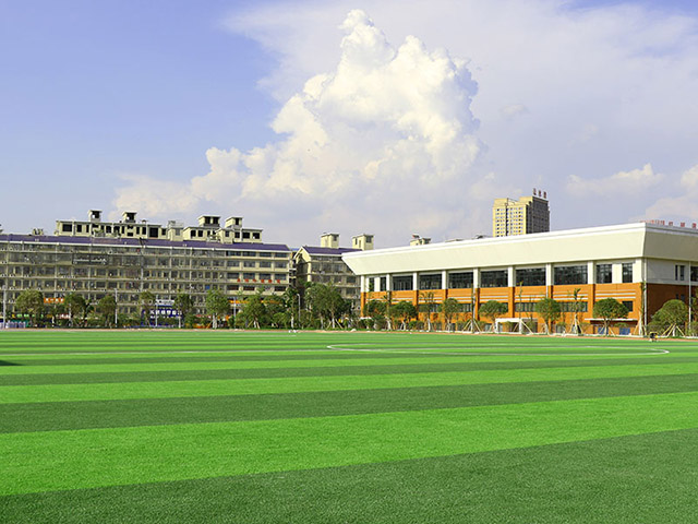 北京足球场人造草坪(图1)